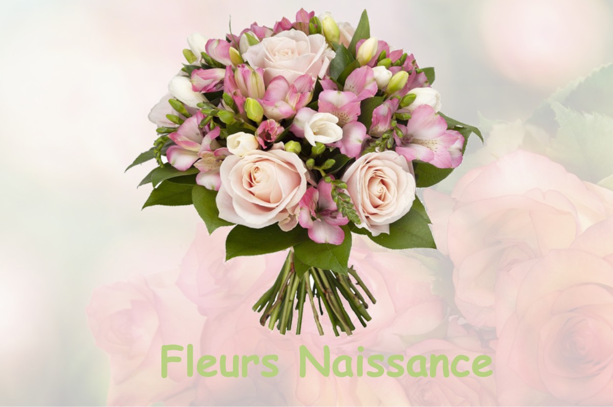 fleurs naissance PREBOIS