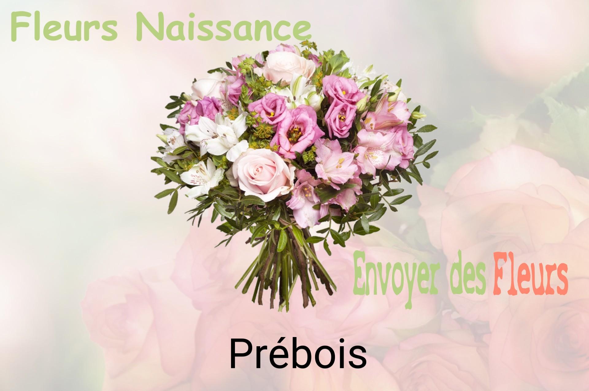 Bouquet de fleurs de naissance livré à Prébois