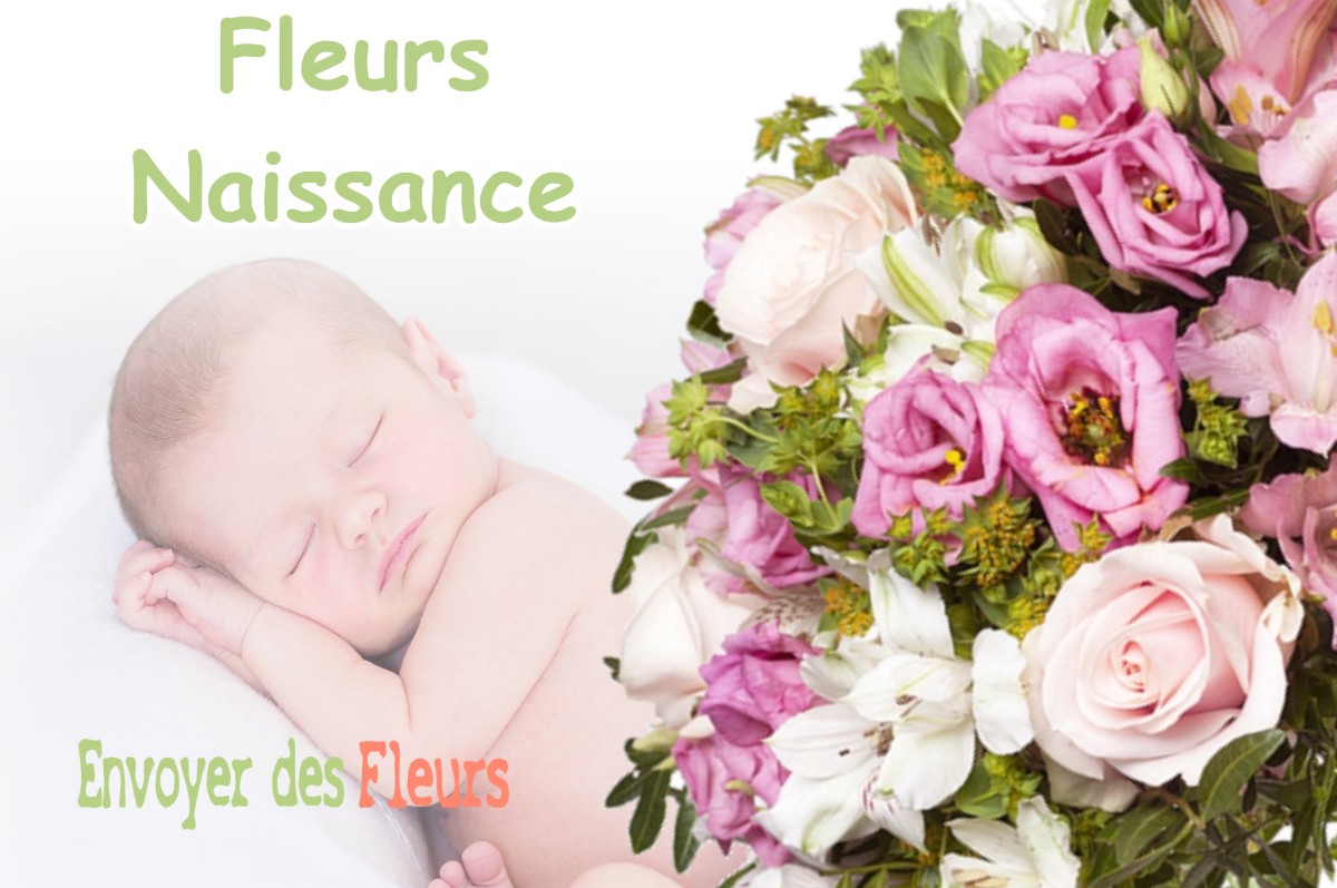 lIVRAISON FLEURS NAISSANCE à PREBOIS